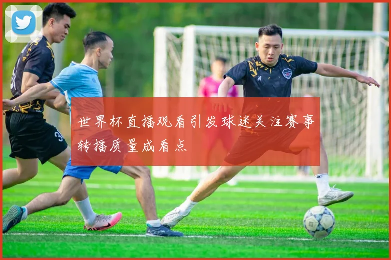 世界杯直播观看引发球迷关注赛事转播质量成看点