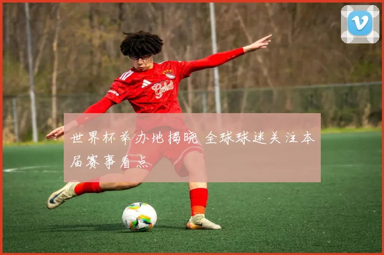 世界杯举办地揭晓 全球球迷关注本届赛事看点