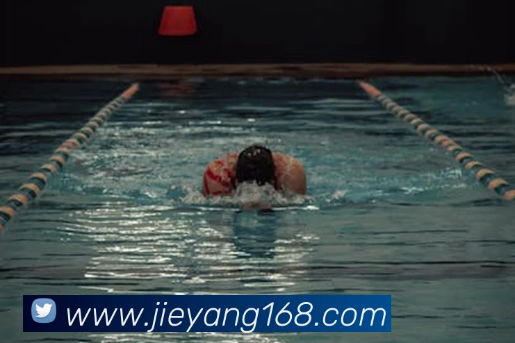 球友体育官网登录入口平台生态图